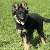 Angebot Theoriekurs Angebot Theoriekurs